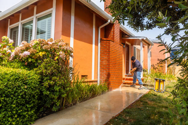 Best Local Pressure Washing Services  in Versailles, KY