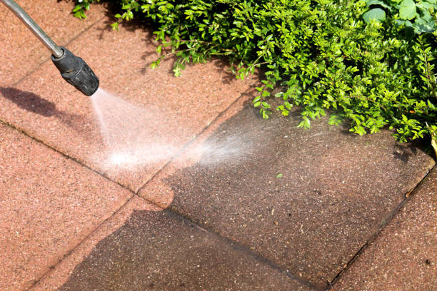 Best Pressure Washing Near Me  in Versailles, KY